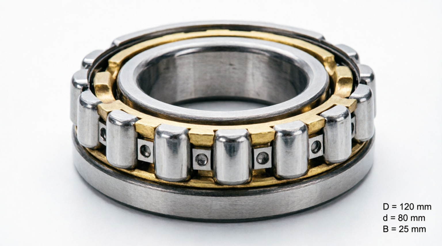Single Row Cylindrical Roller Bearings